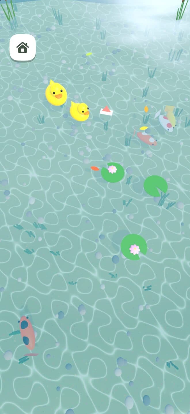 The pond: tap to make ripples around the ducks and fish